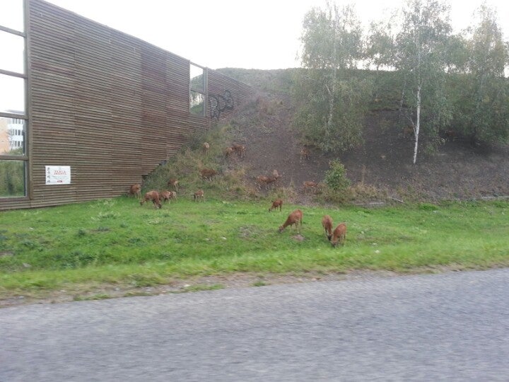 Ikem - photo 4 showing the facility