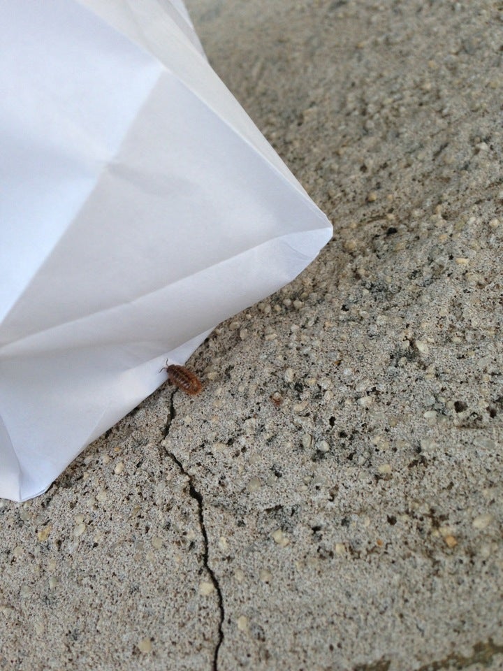 Office Building At 6207 Bee Cave Rd