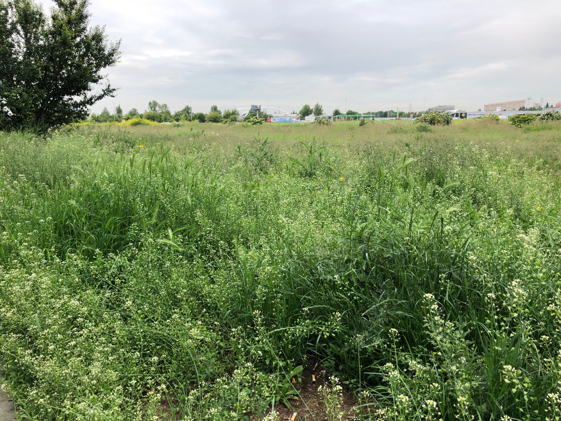 Letňanská - photo 2 showing the facility