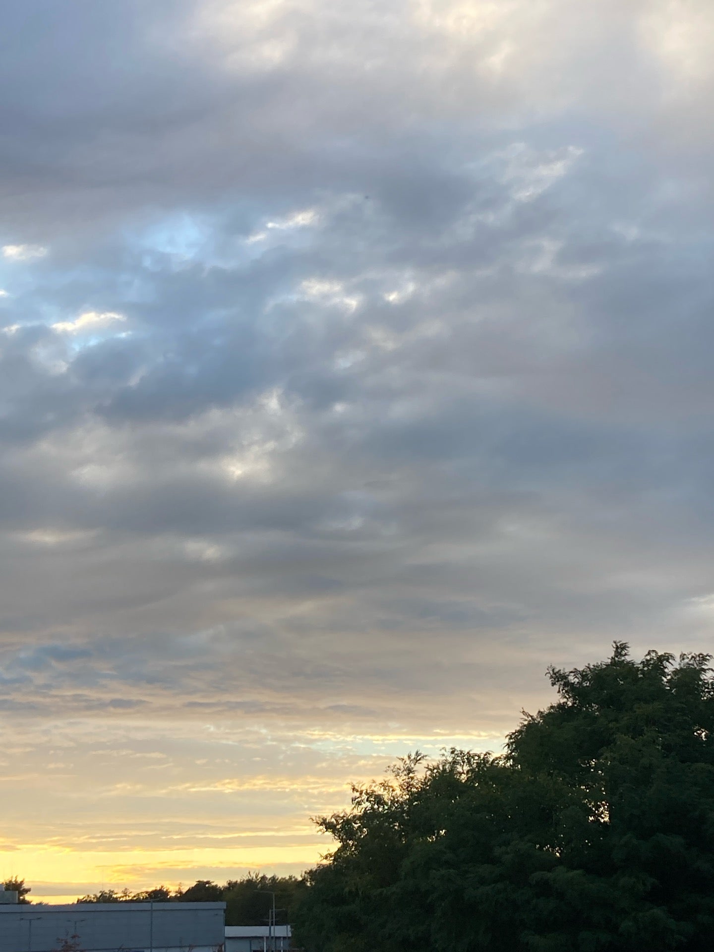 Hasova - photo 1 showing the facility