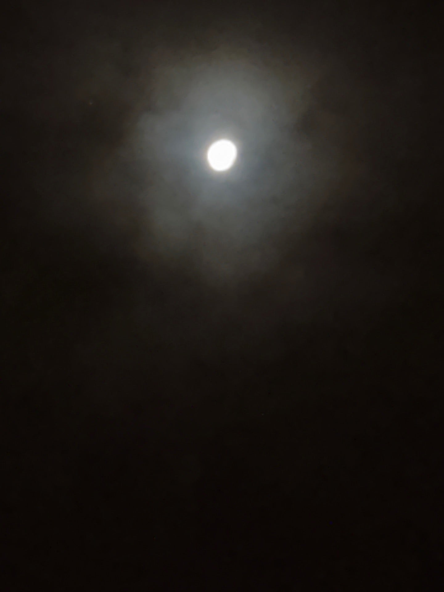 Želivecká - photo 3 showing the facility