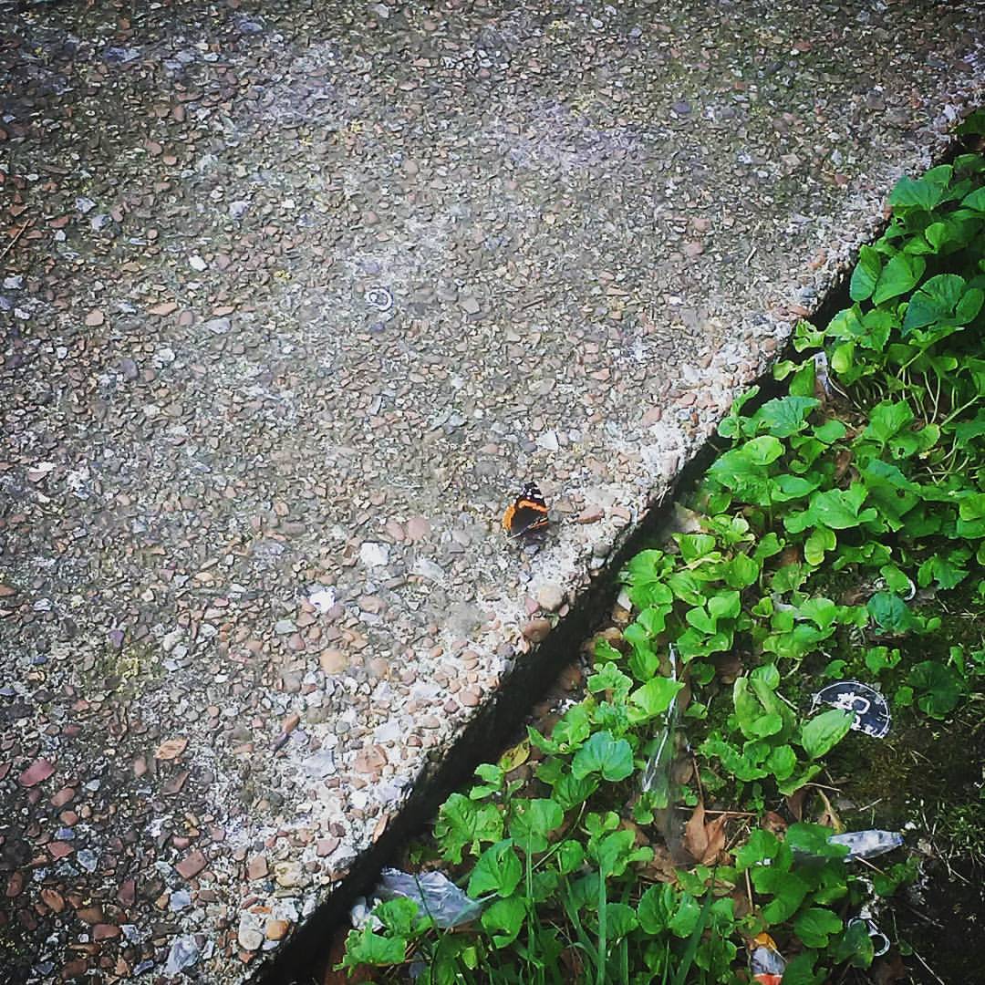 Creations Unlimited Barbershop