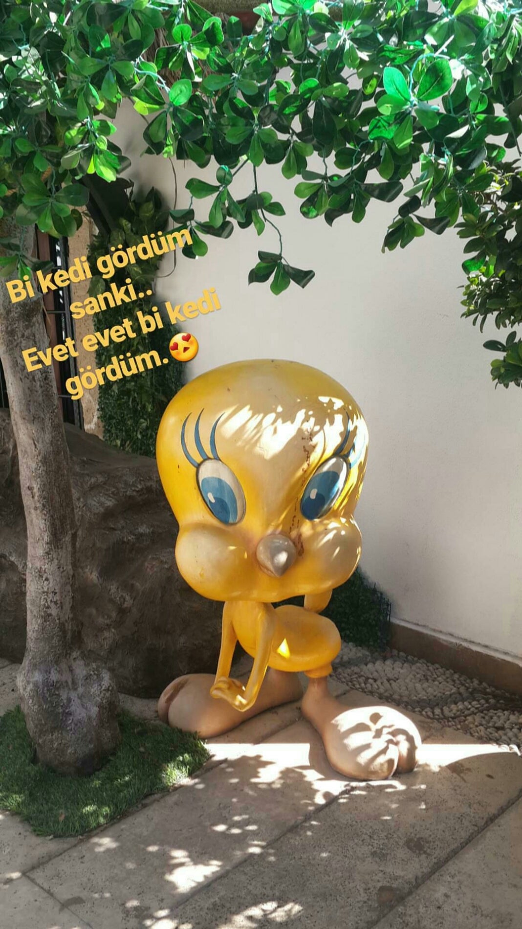 Mekan fotoğrafı 1