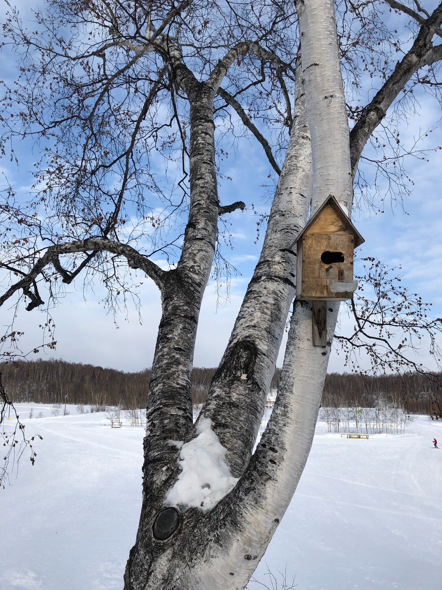 Лыжная База «Веселая Горка»