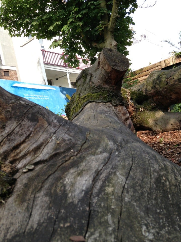 Speelplaats 'De Boomstam Logo