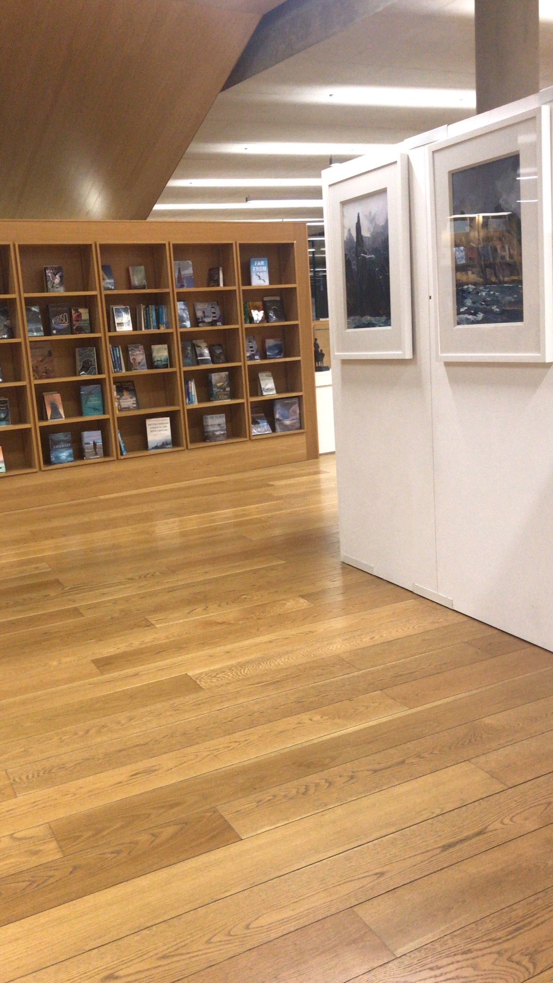 LexIcon Library and Cultural Centre (dlr LexIcon) 4