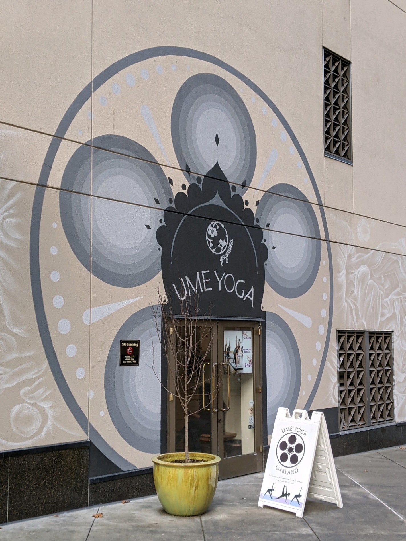 Ume Yoga fitness in Oakland