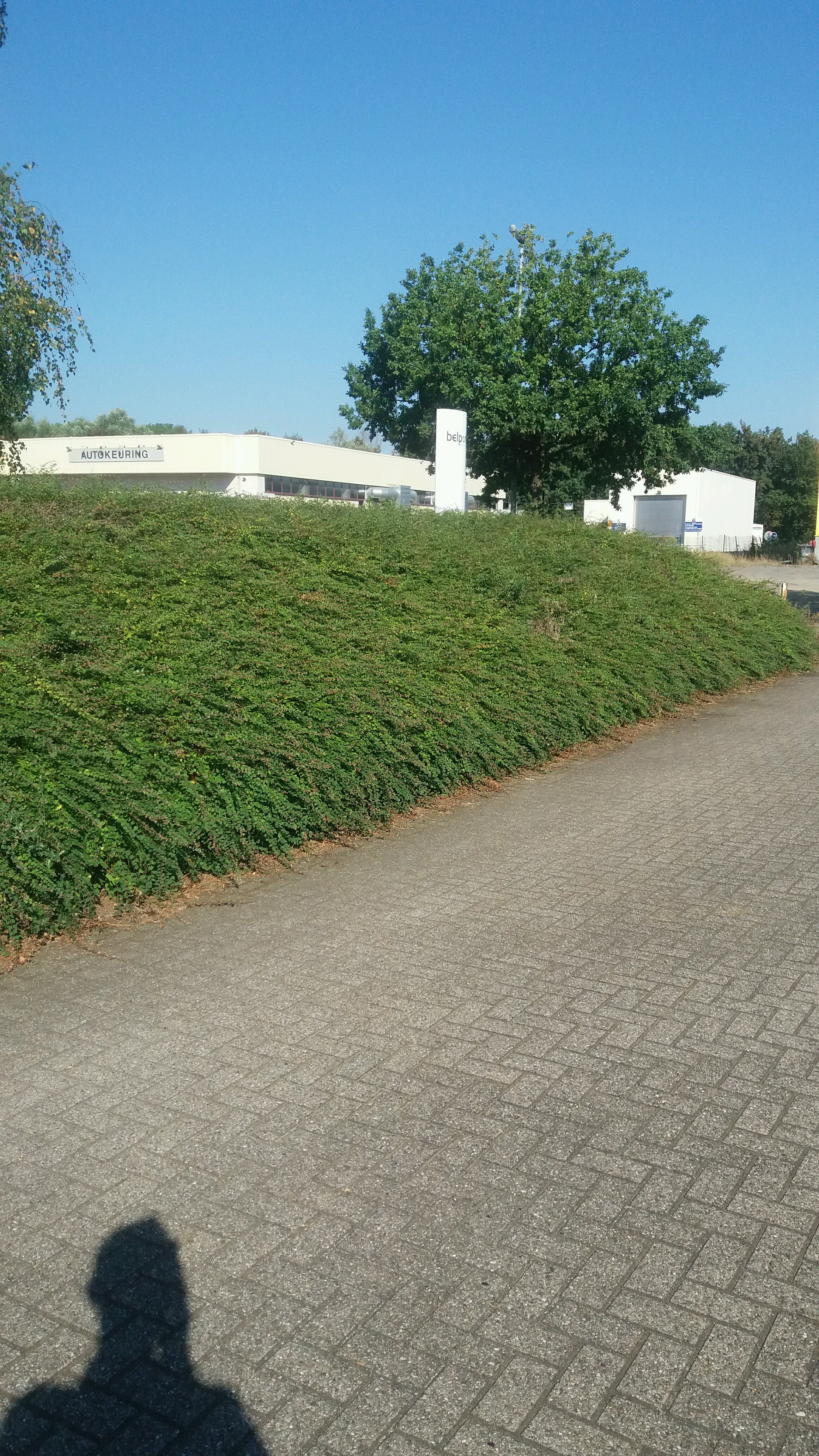 Bedrijventerrein Wingepark