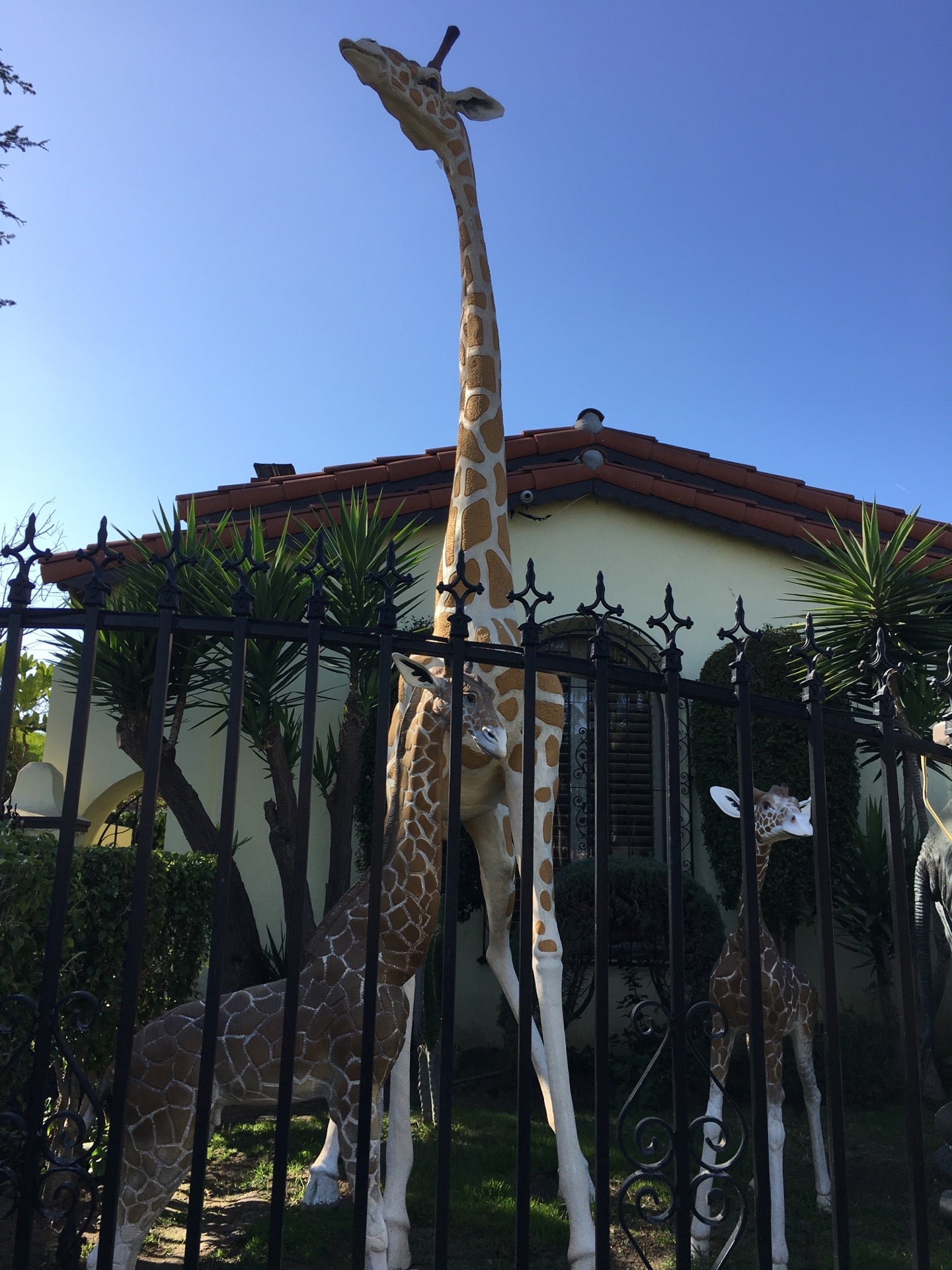 Beverly Hills Children's Zoo