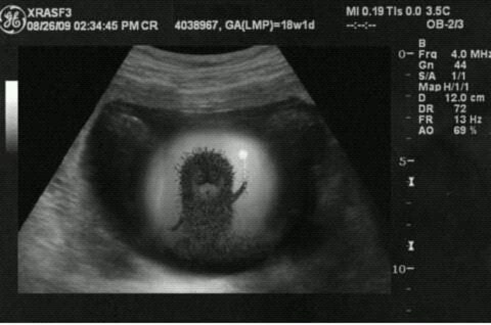 Ссылка Олёнка