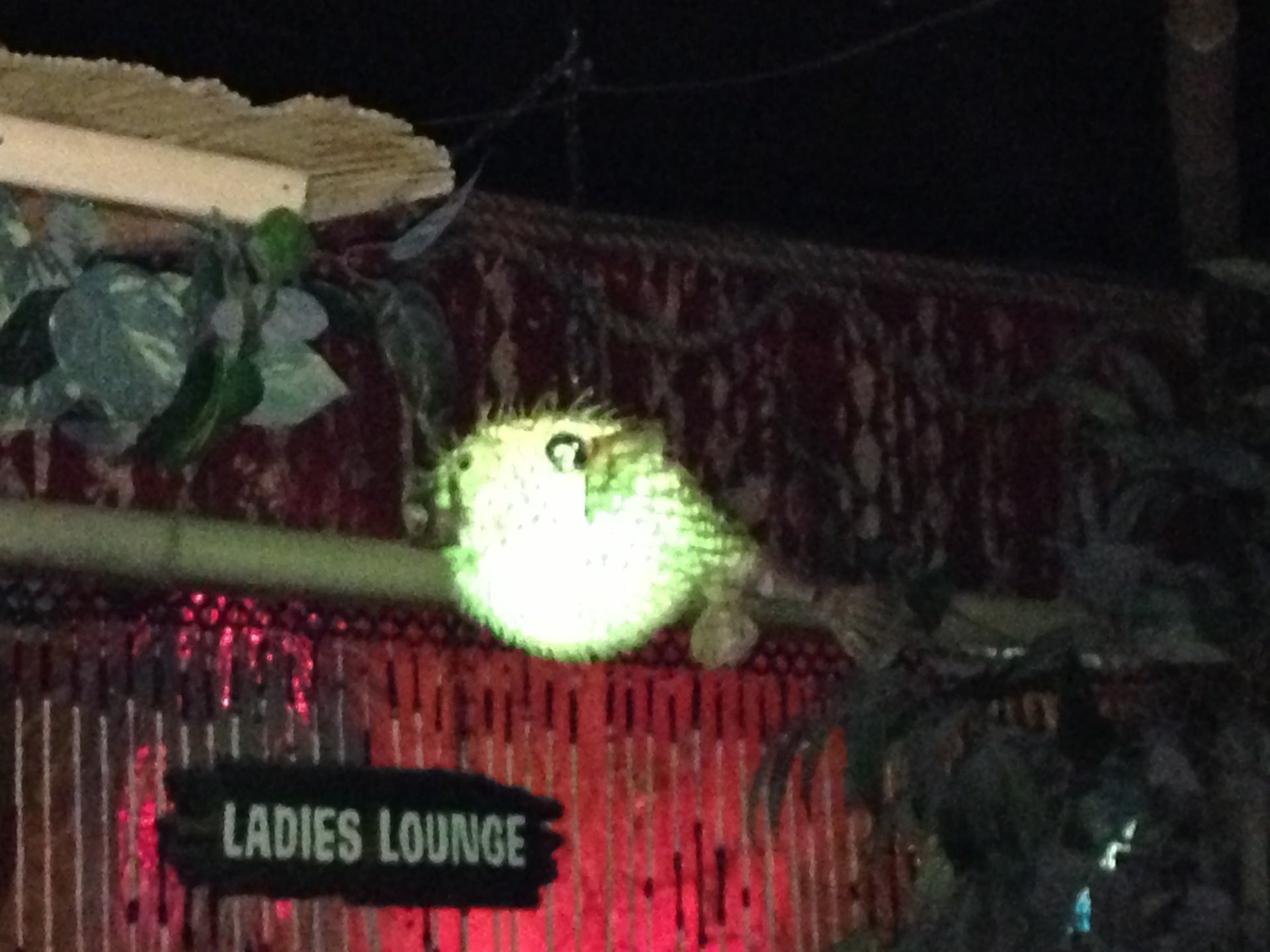 Foundation Bar 2718 N Bremen St Milwaukee