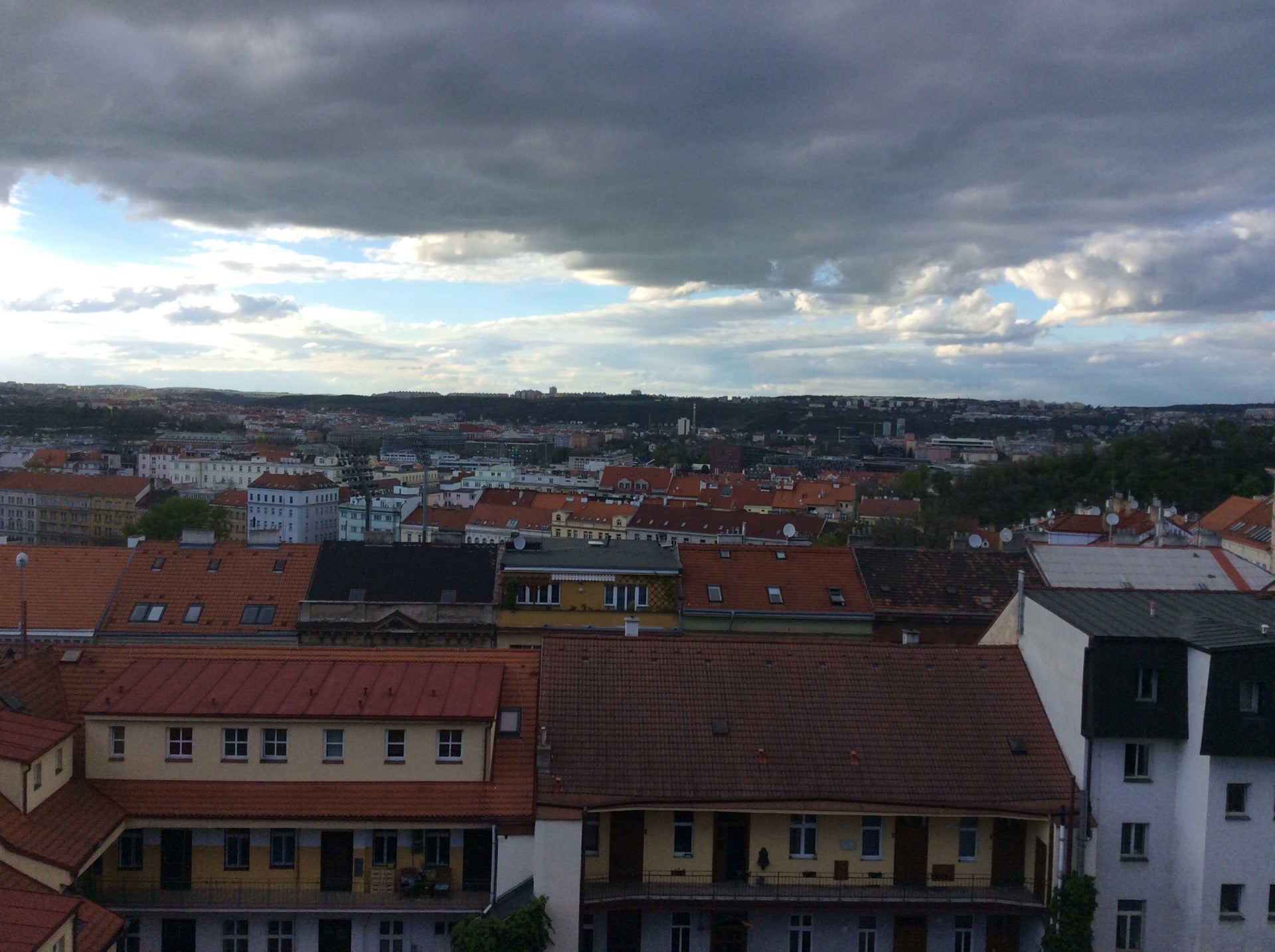 Clown and Bard - photo 2 showing the facility