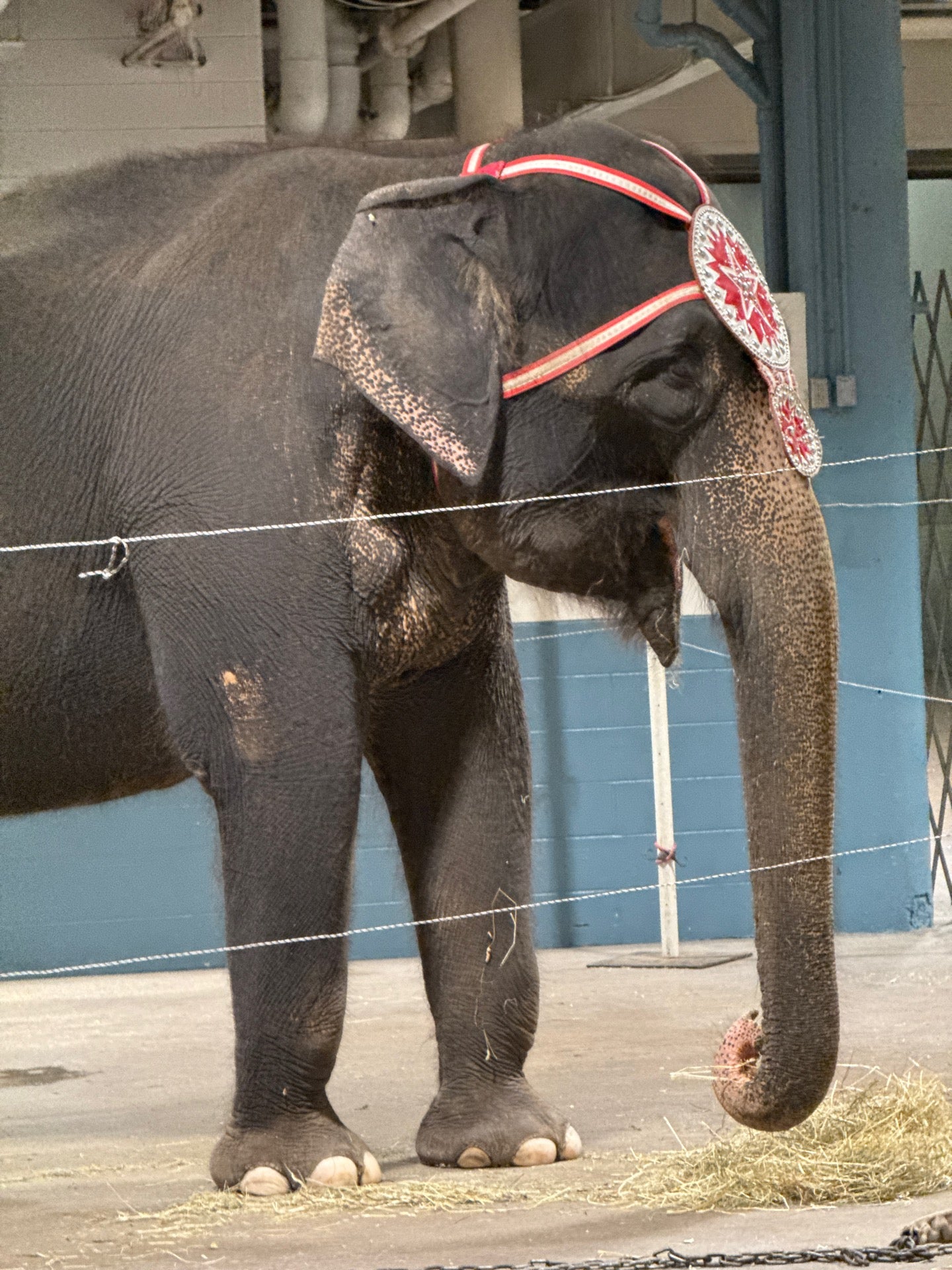 Allen County War Memorial Coliseum