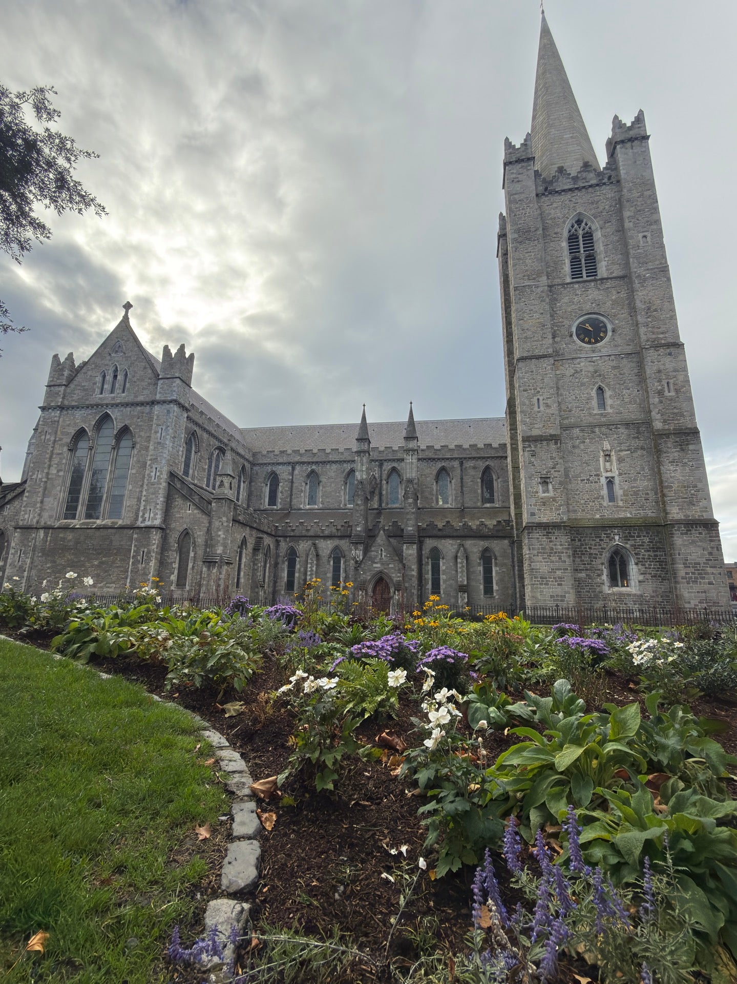 St Patrick's Cathedral 6