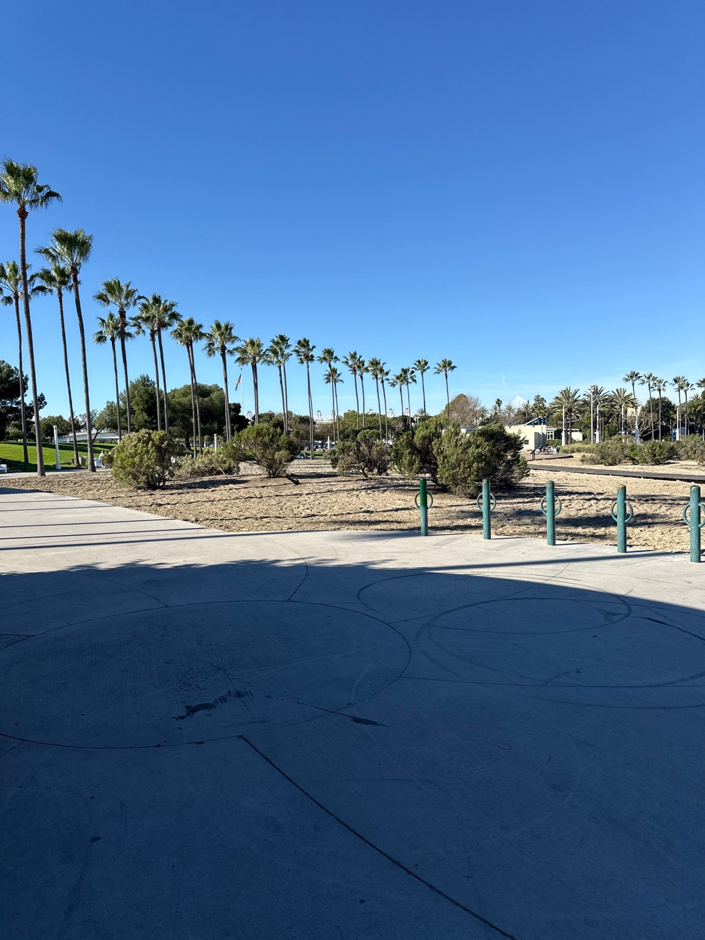 Shoreline Waterfront