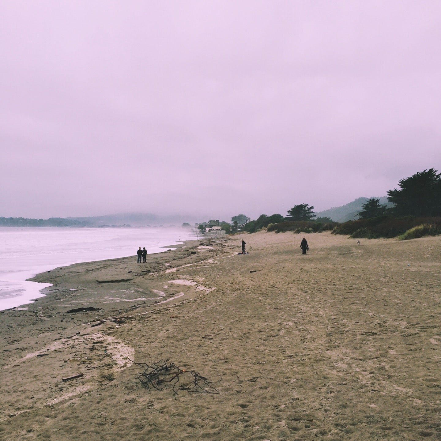 Stinson Beach Highway 1 Stinson Beach
