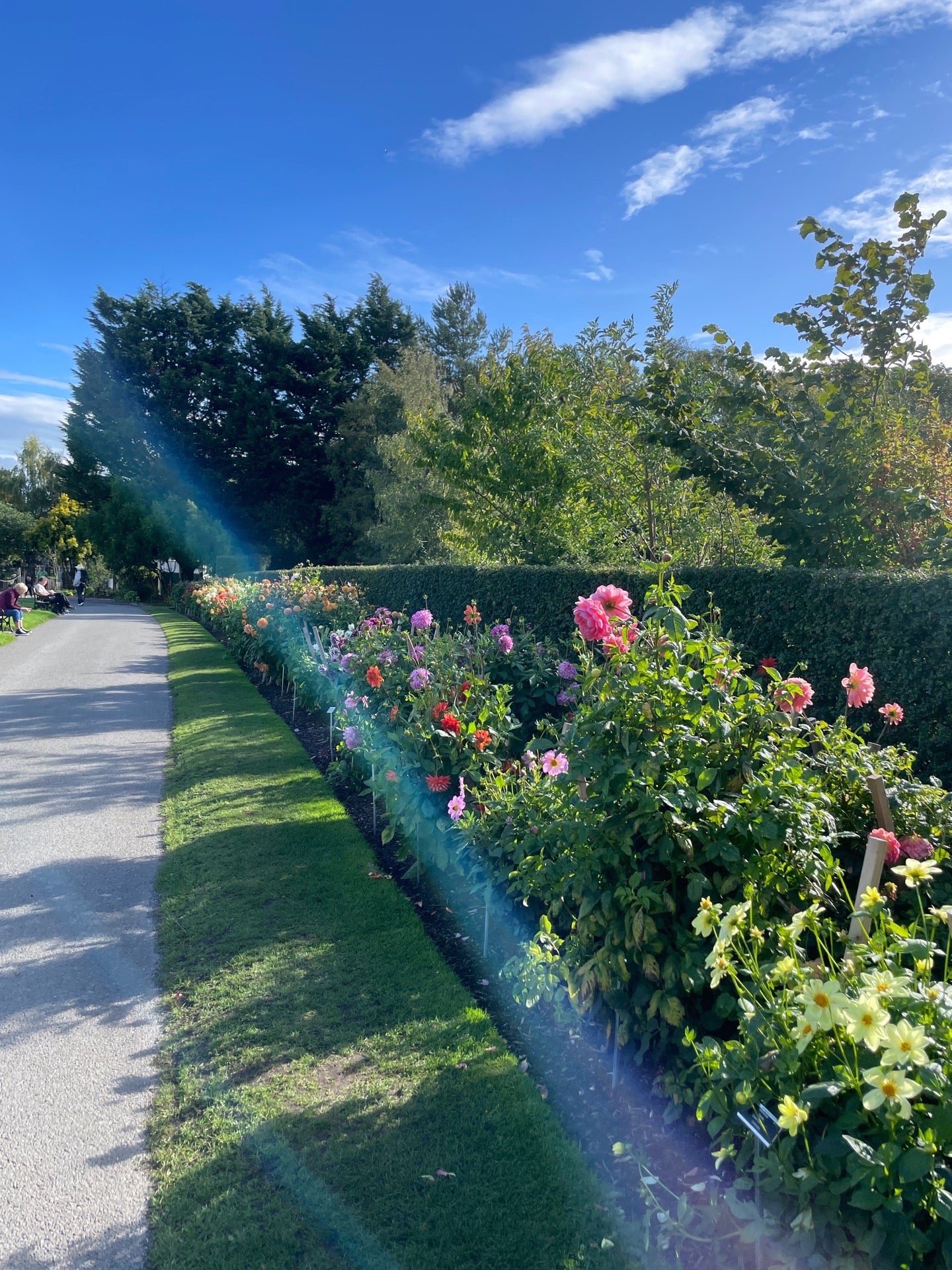 National Botanic Gardens 12