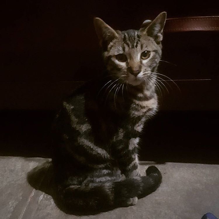 Street Attack Racing