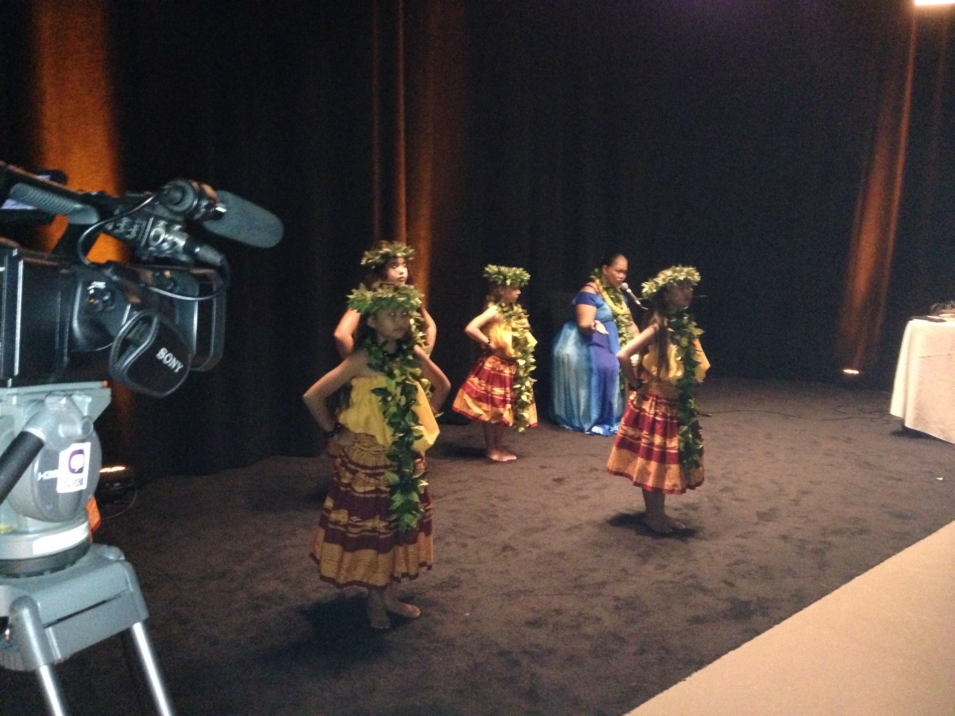 Ōlelo Community Media