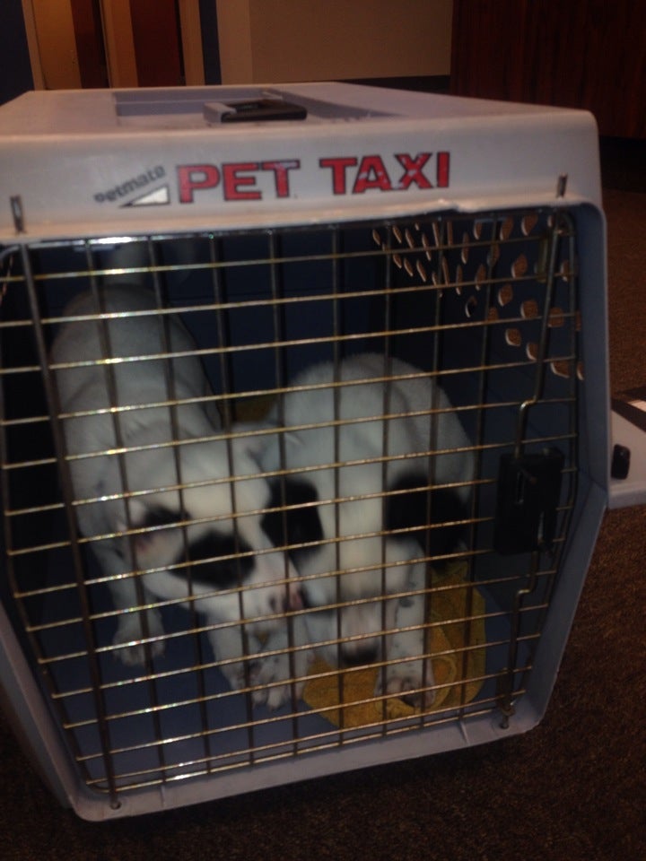 Cbs46 & Peachtree TV