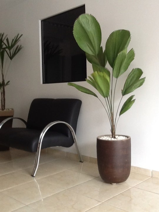 Medeiros Contabilidade