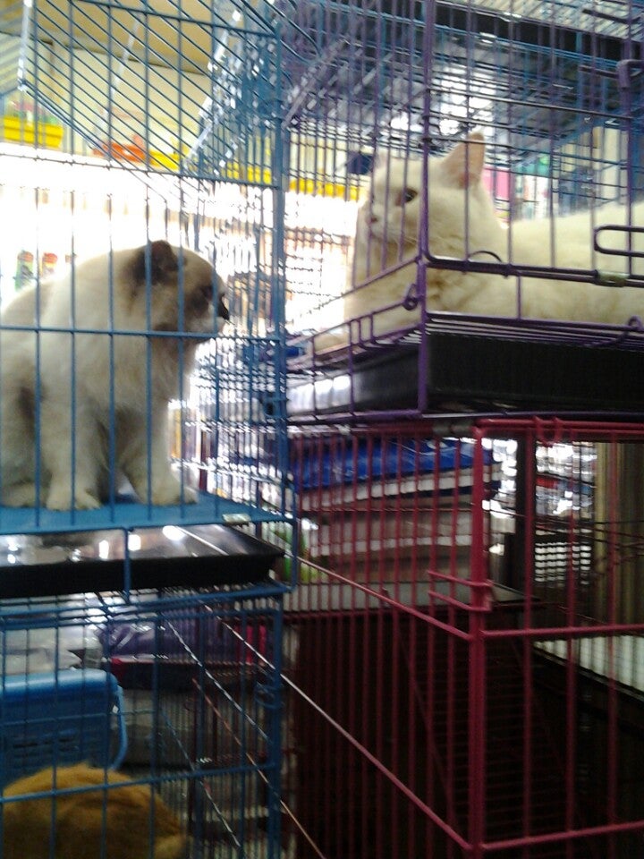 Ramdhan Pet Shop