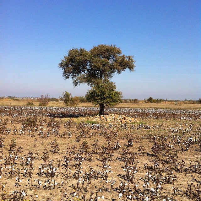Προφήτης Ηλίας