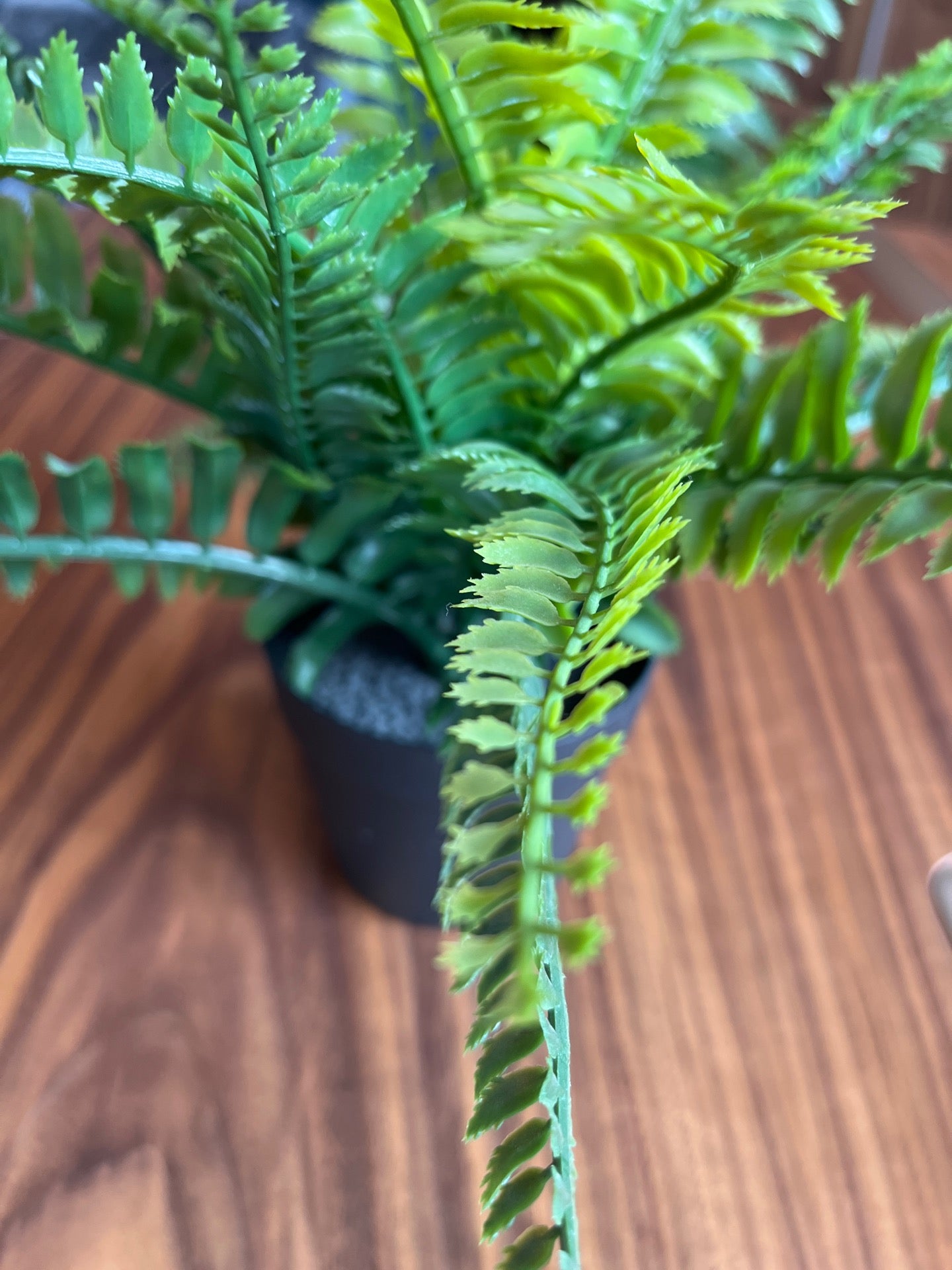 Rengarenk Genç Mobilyasi Edirne