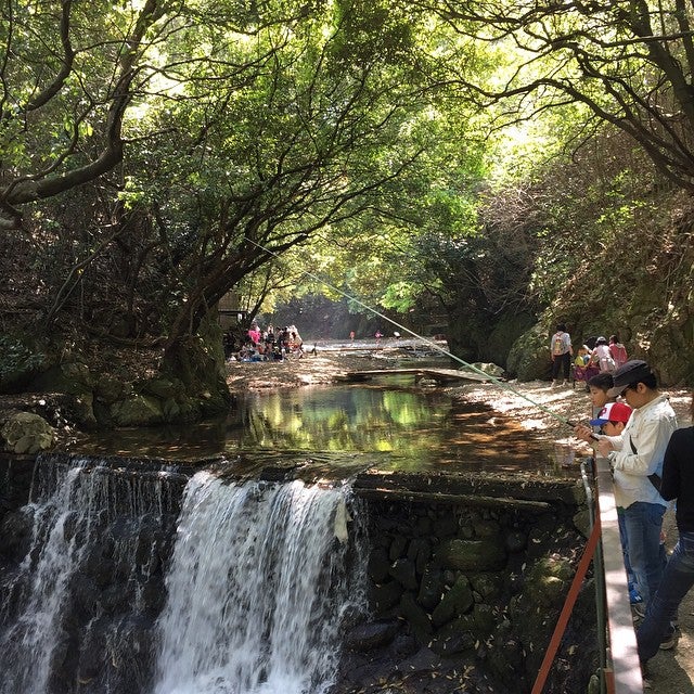関西で子どもと一緒にアスレチックを楽しもう 屋外 屋内おすすめ施設8選 アチコチ By ママリ