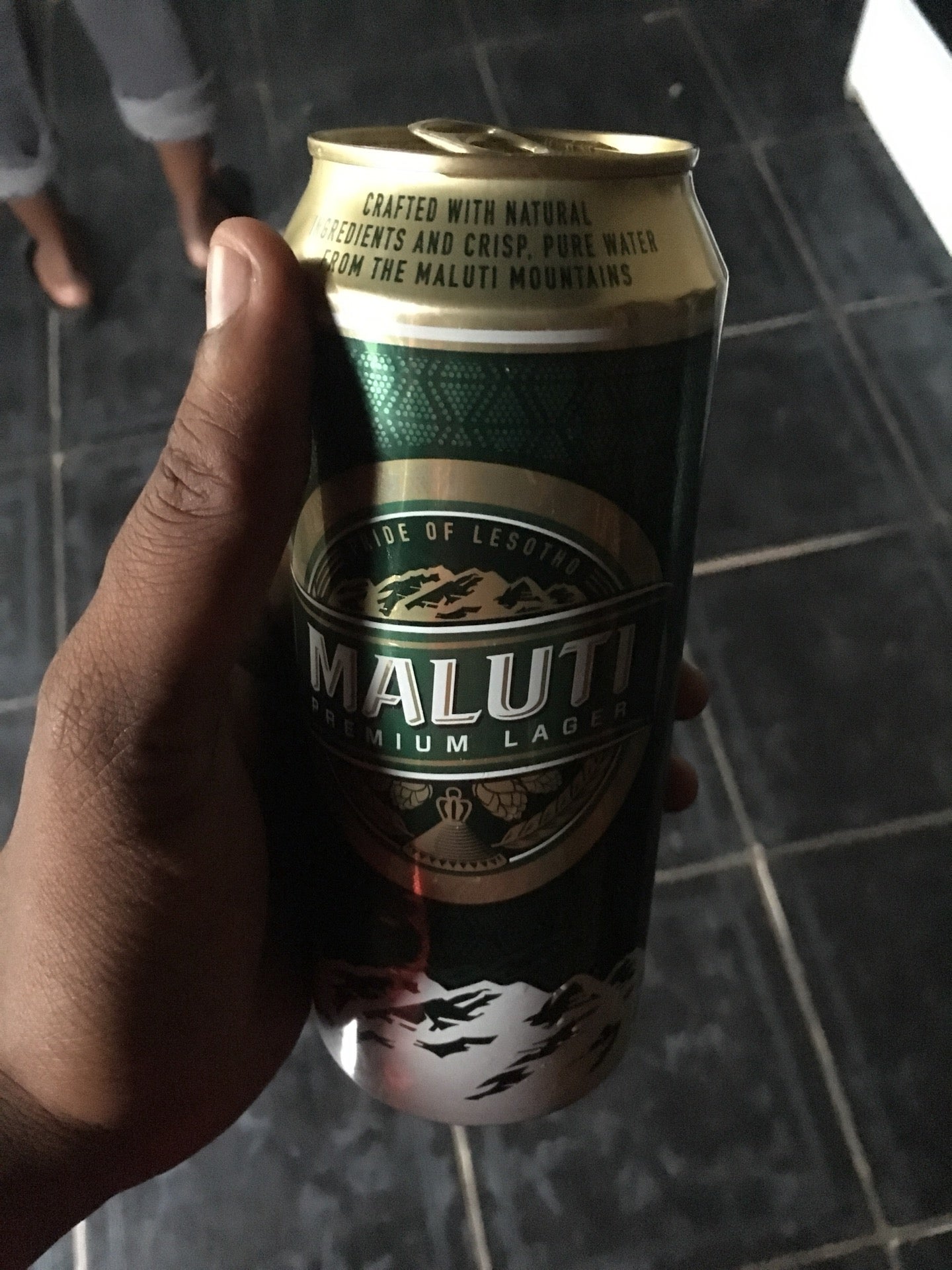 Blue Mountain Inn-Bmi