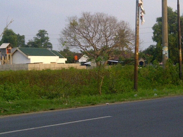 Mie Gondrong 16C Logo