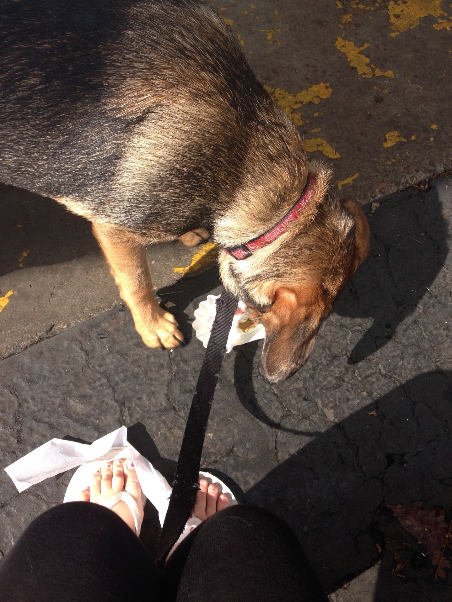 Dairy Kastle 575 Eastern Pkwy Louisville