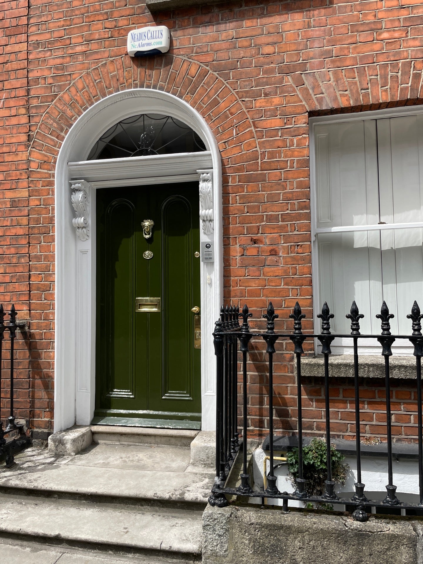 National Museum of Ireland - Kildare Street 10