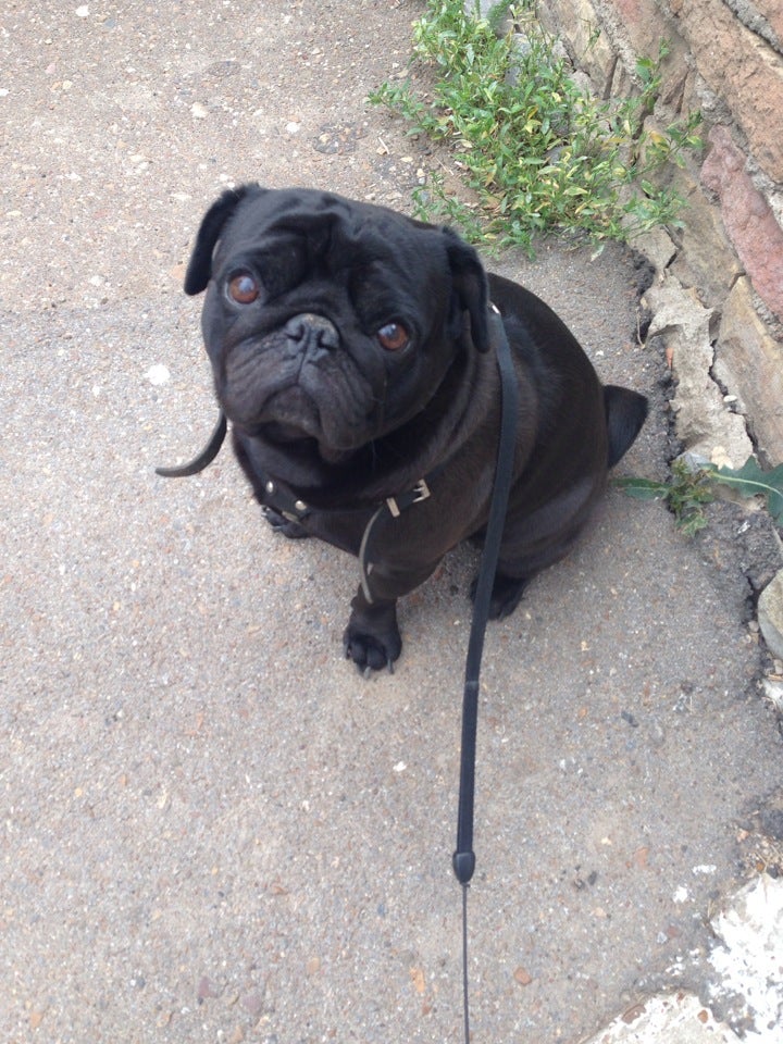 Детская Площадка