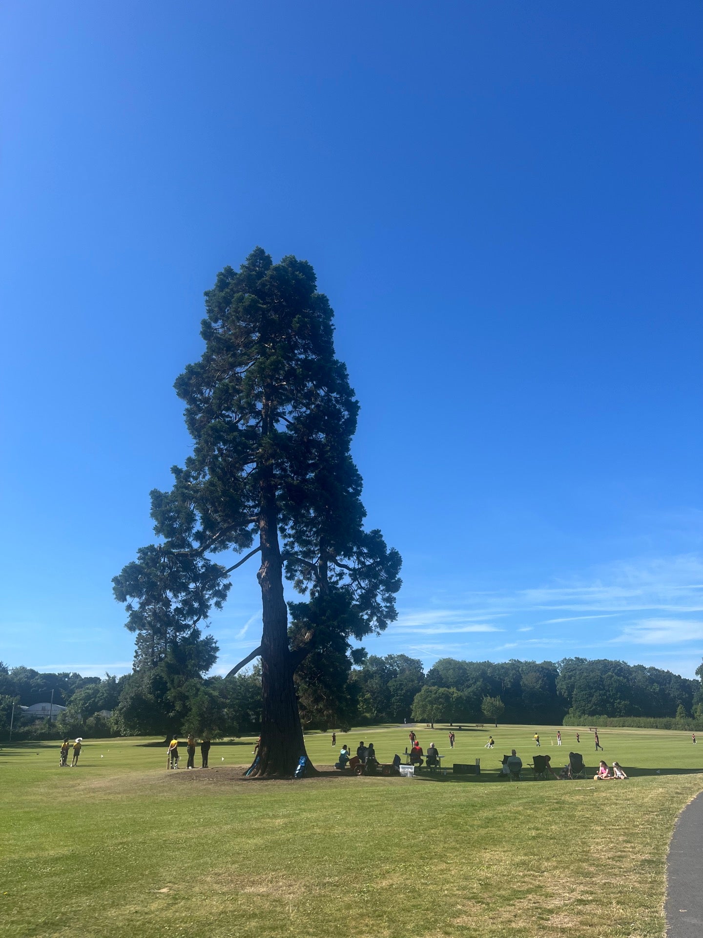 Malahide Castle & Gardens 2