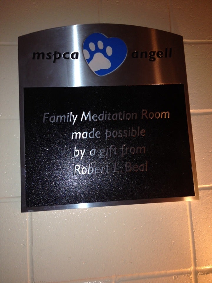 Mspca Angell Animal Medical Center