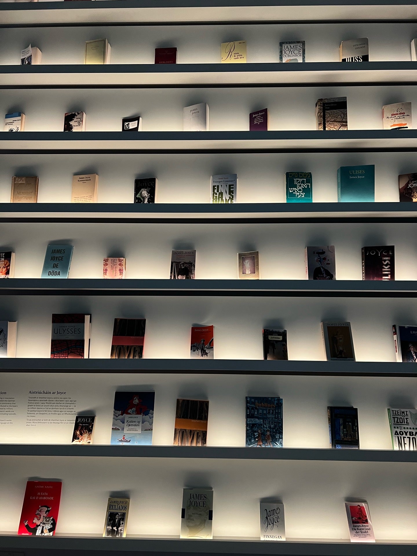 MoLI – Museum of Literature Ireland 5