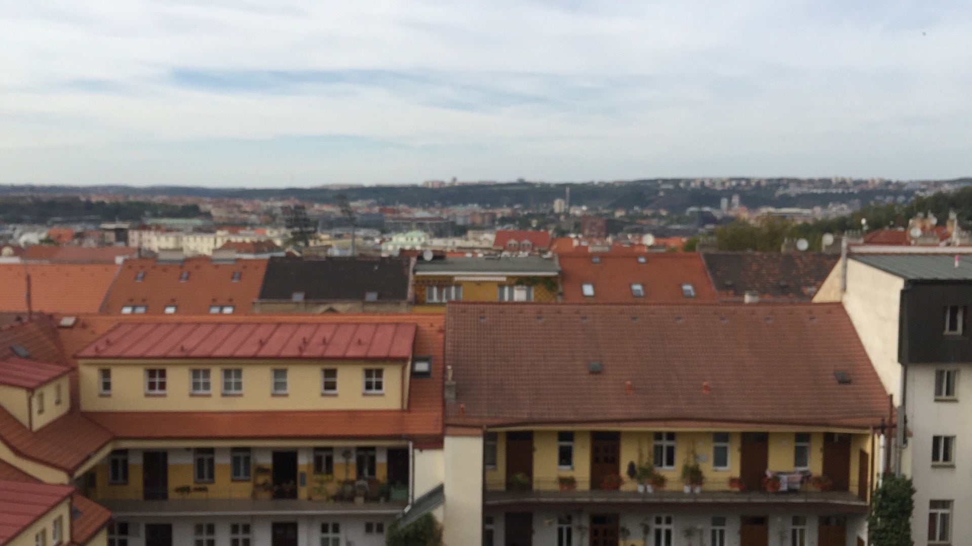 Clown and Bard - photo 1 showing the facility