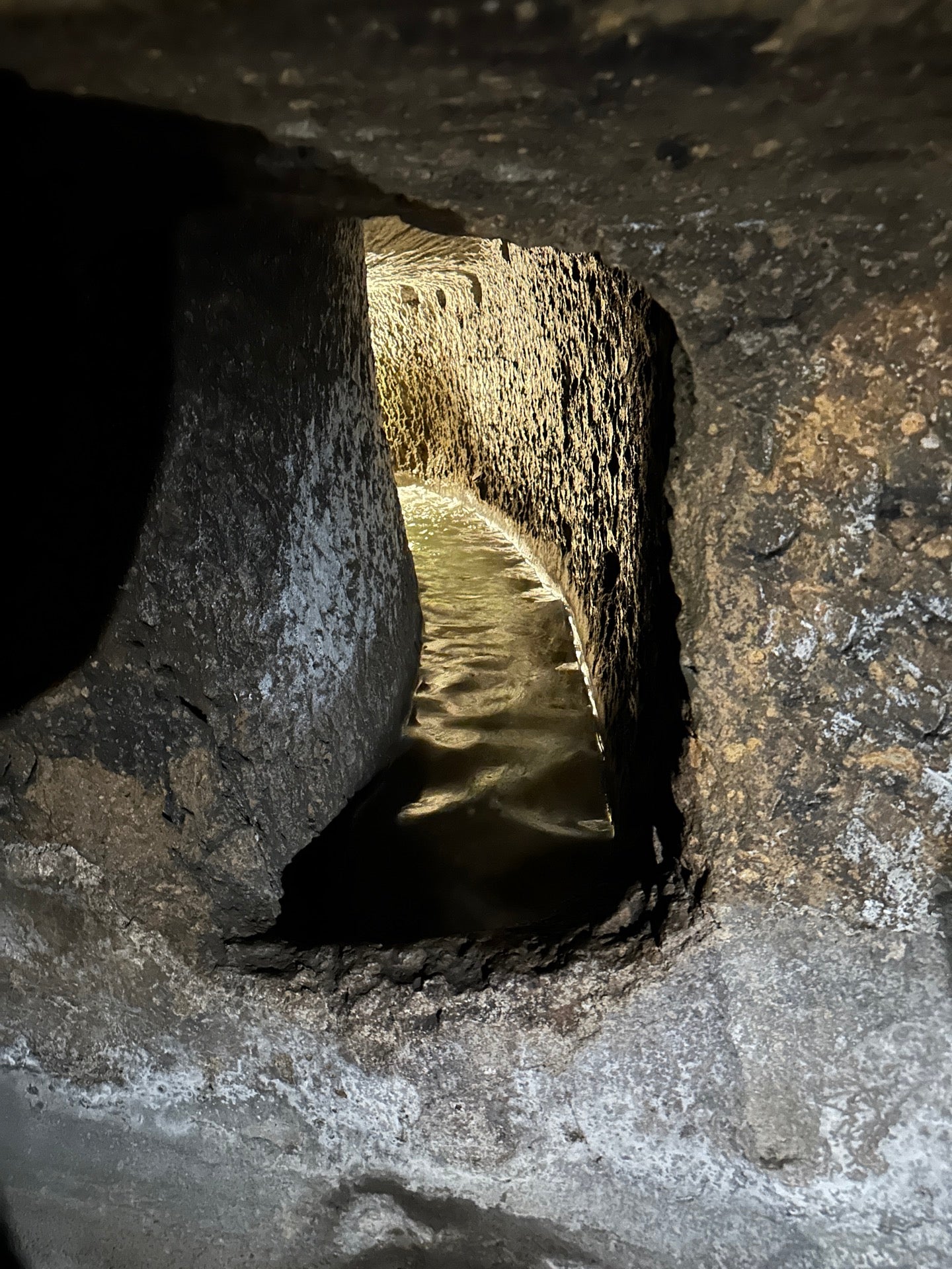 Napoli Sotterranea - Naples bar