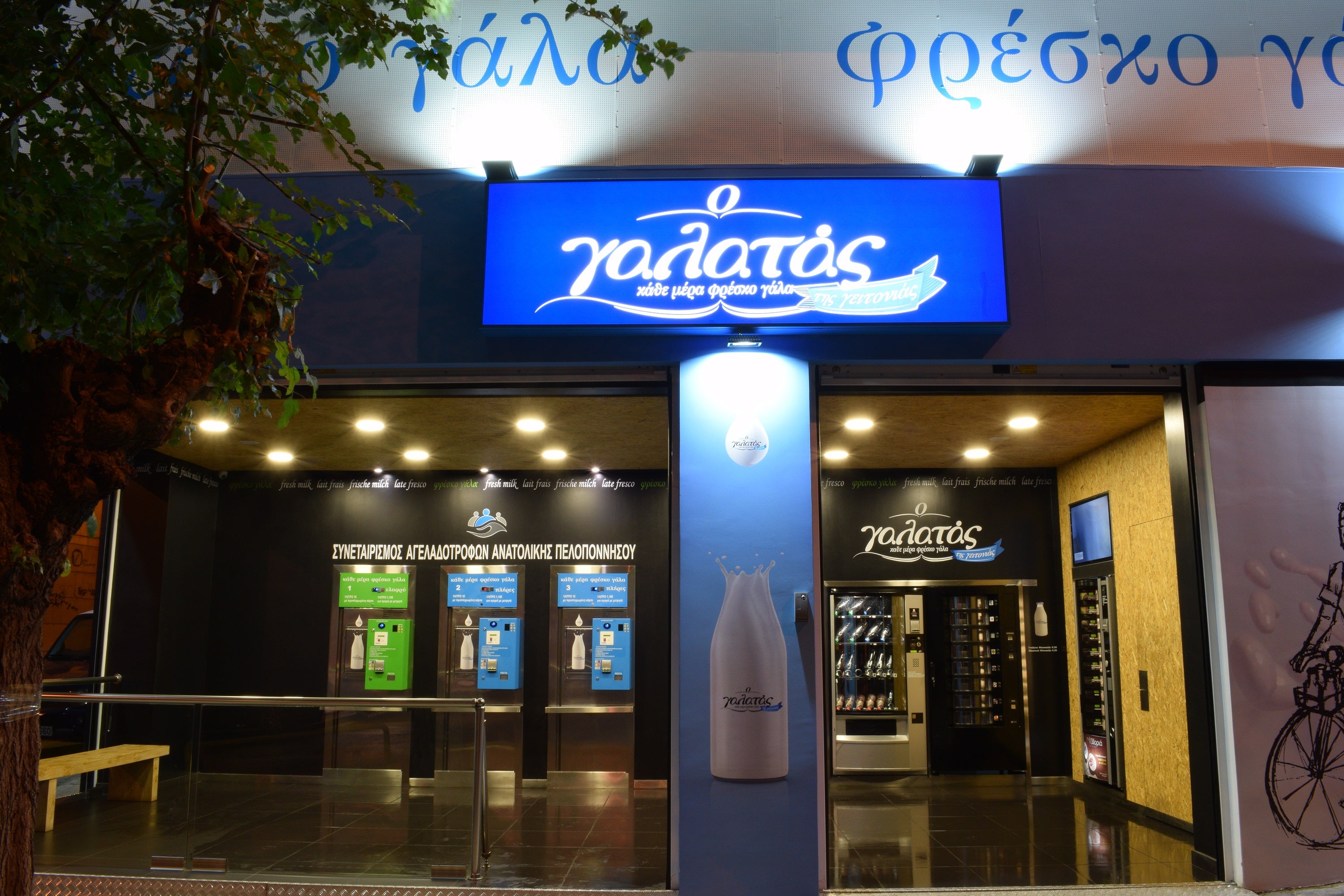 O Galatas Ths Geitonias