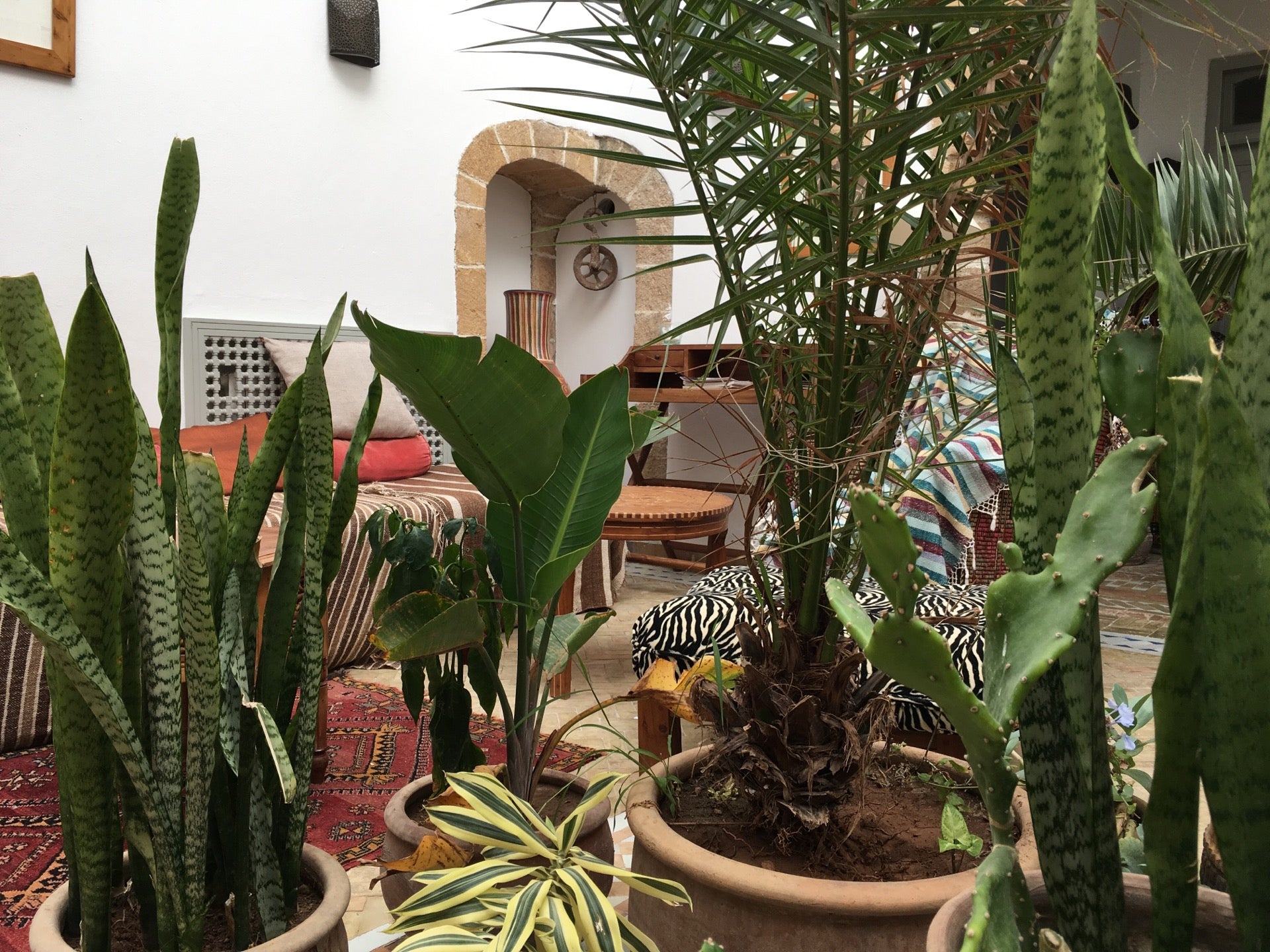 Riad Consulat Du Brésil