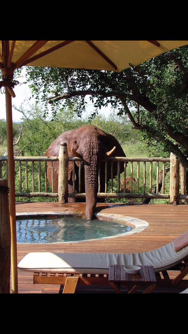 Chobe Wildlife Conservation