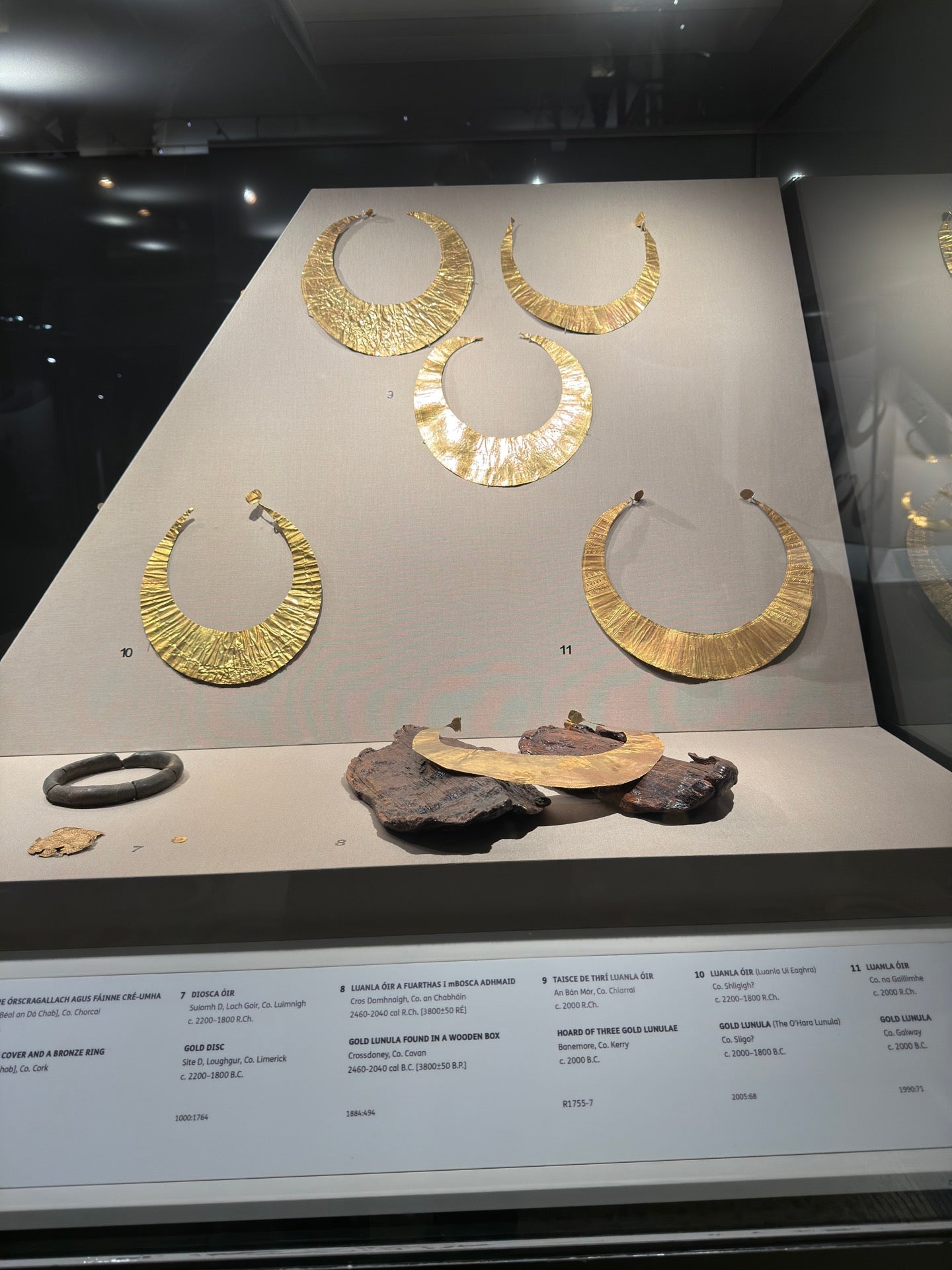 National Museum of Ireland - Kildare Street 17