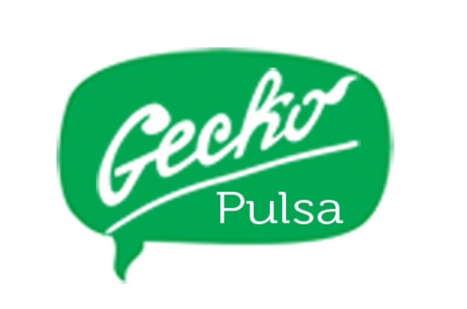 Gecko Internet Payment Point Logo