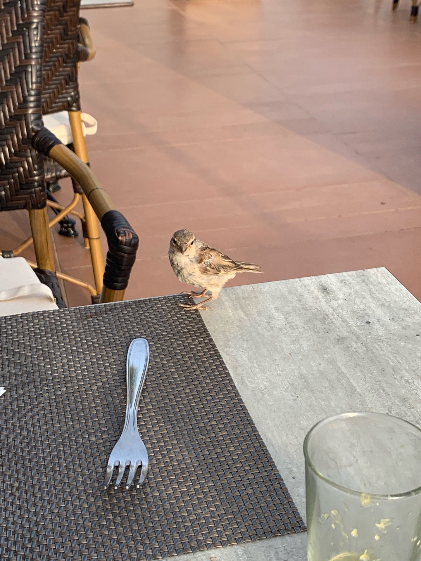 Restaurant La Trattoria