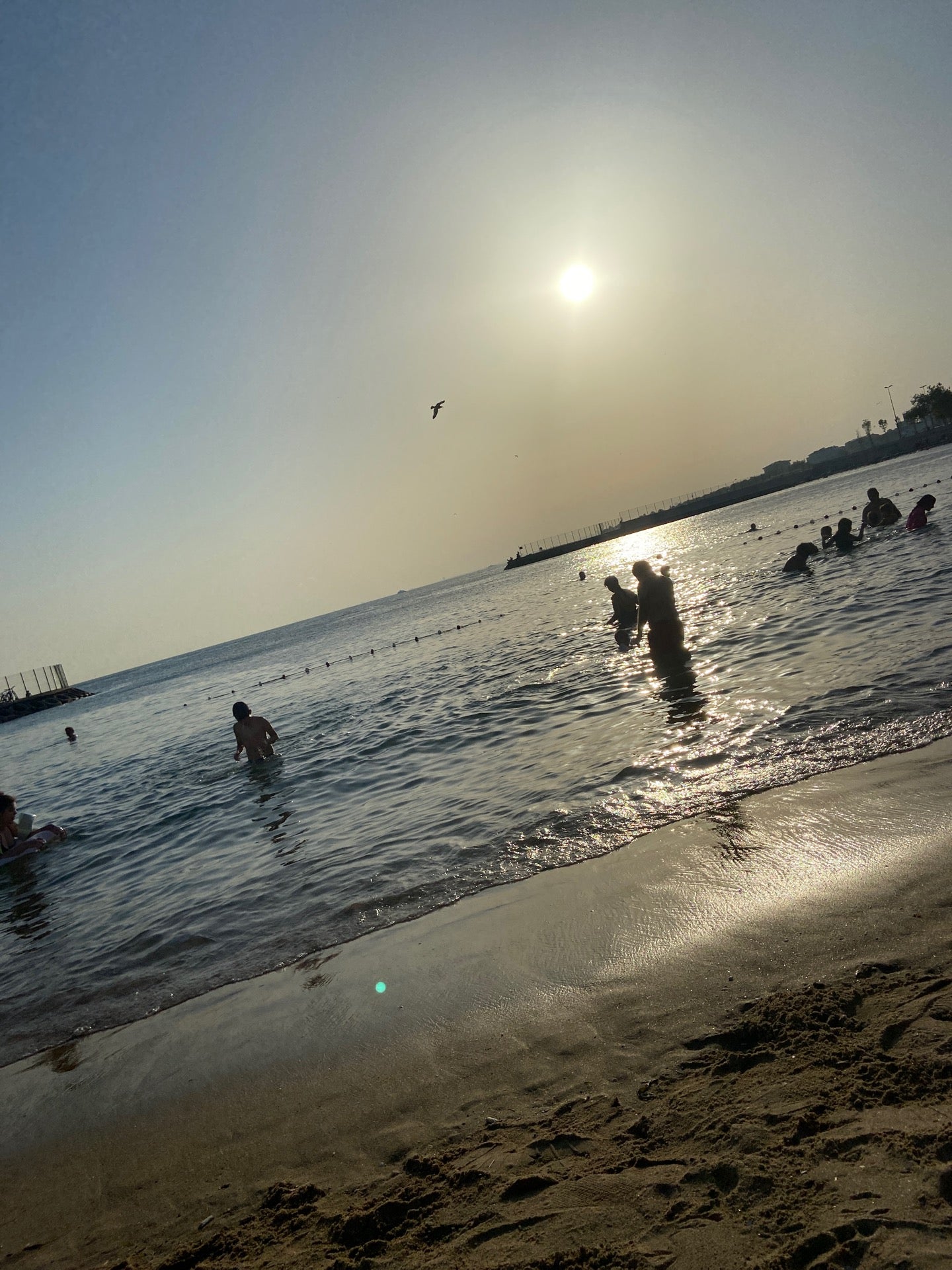 Caddebostan 1. Burun Logo