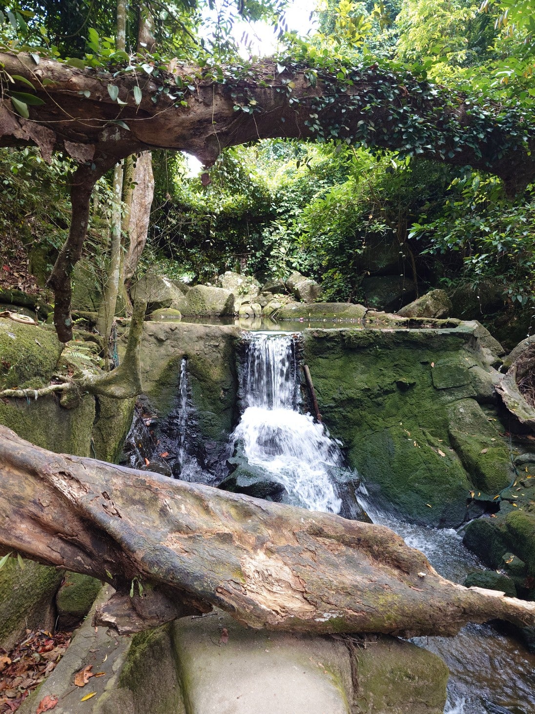 Tarnim Magic Garden in Koh Samui, Thailand