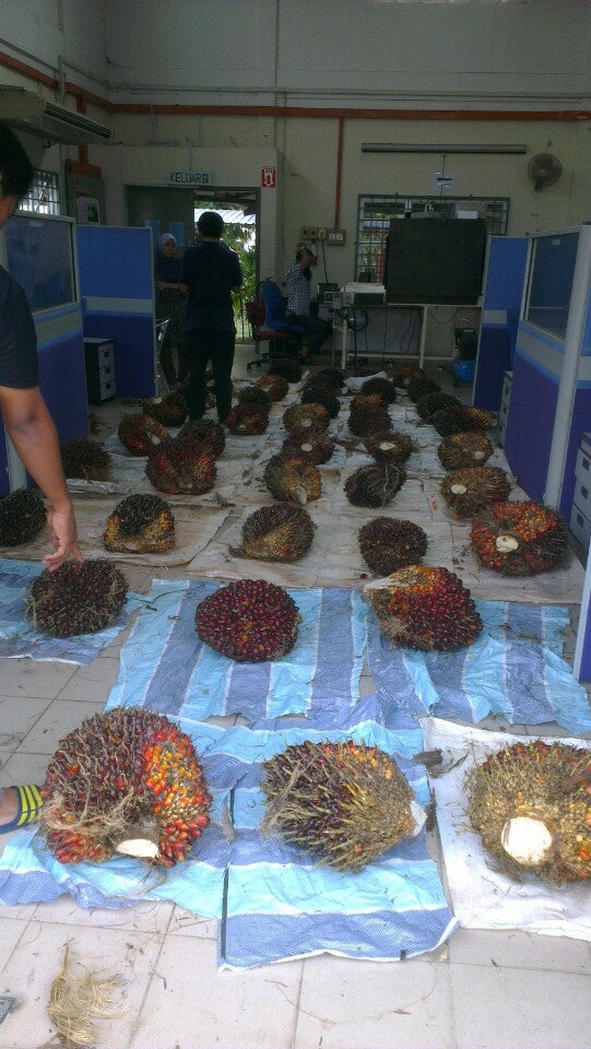 Jabatan Kejuruteraan Biologi Dan Pertanian