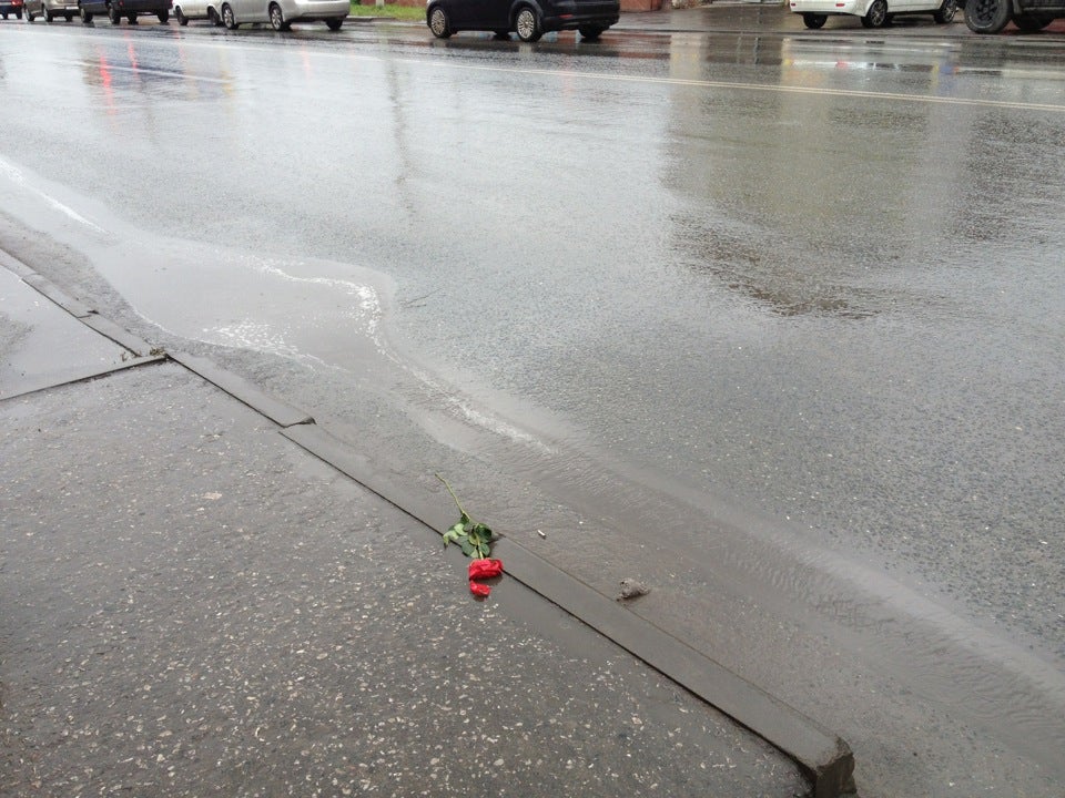 Остановка «7-Я Северная»