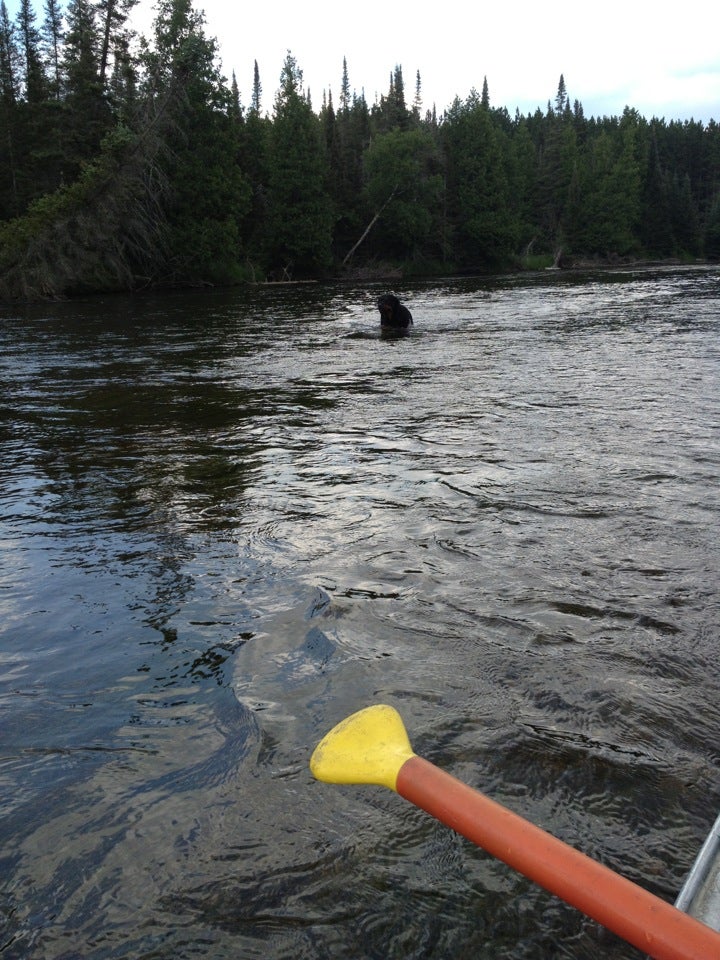Comin'S Creek Canoe Kayak Landing